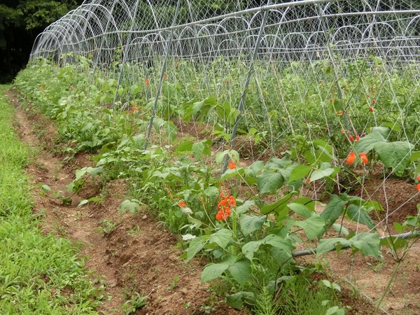 長野市地域おこし協力隊 | ながのシティプロモーション